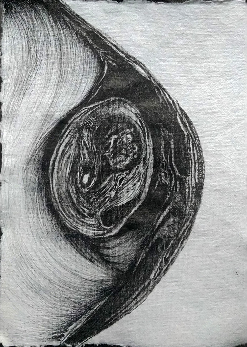 Untitled — ink drawing, 2024