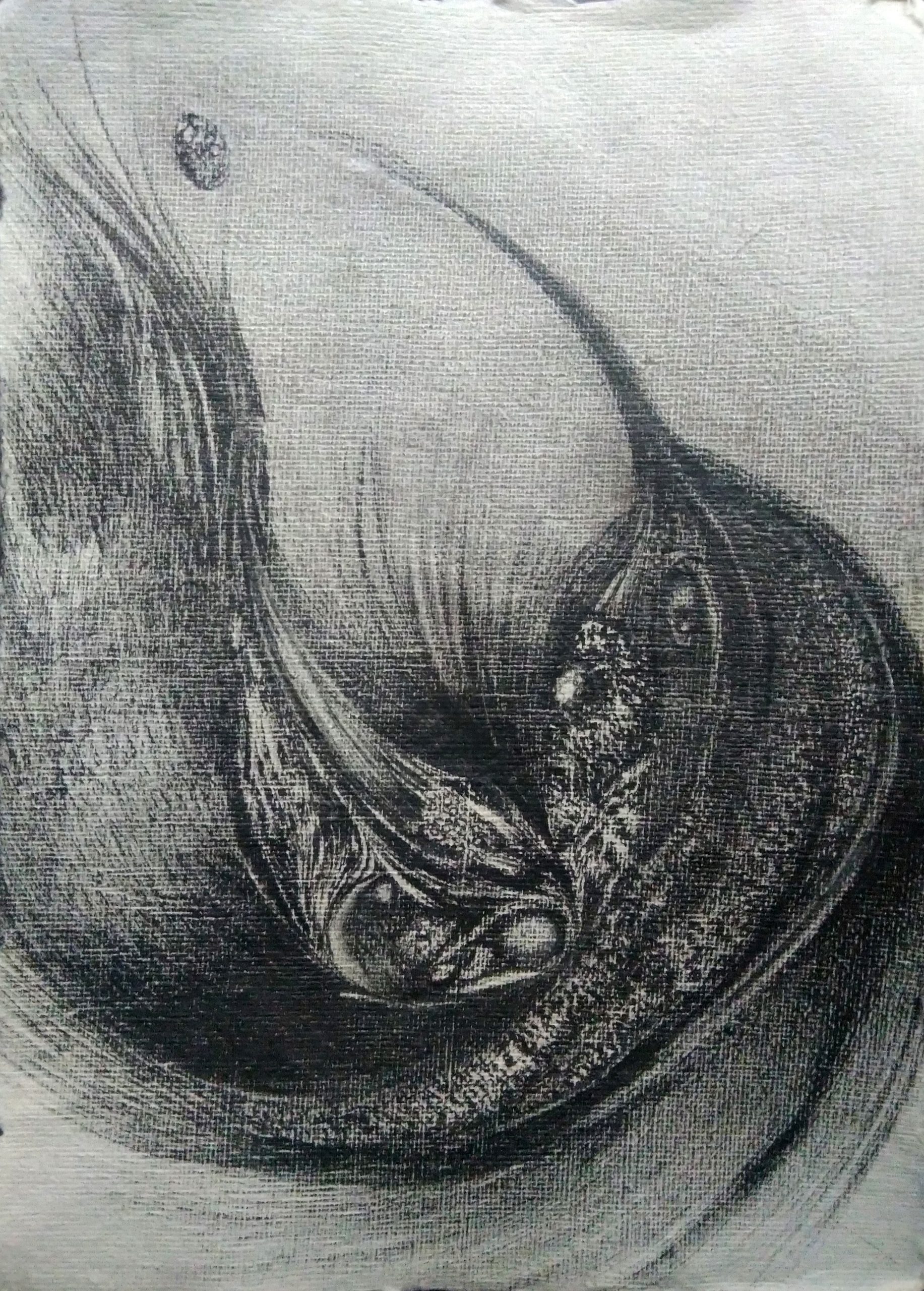Untitled — ink drawing, 2024