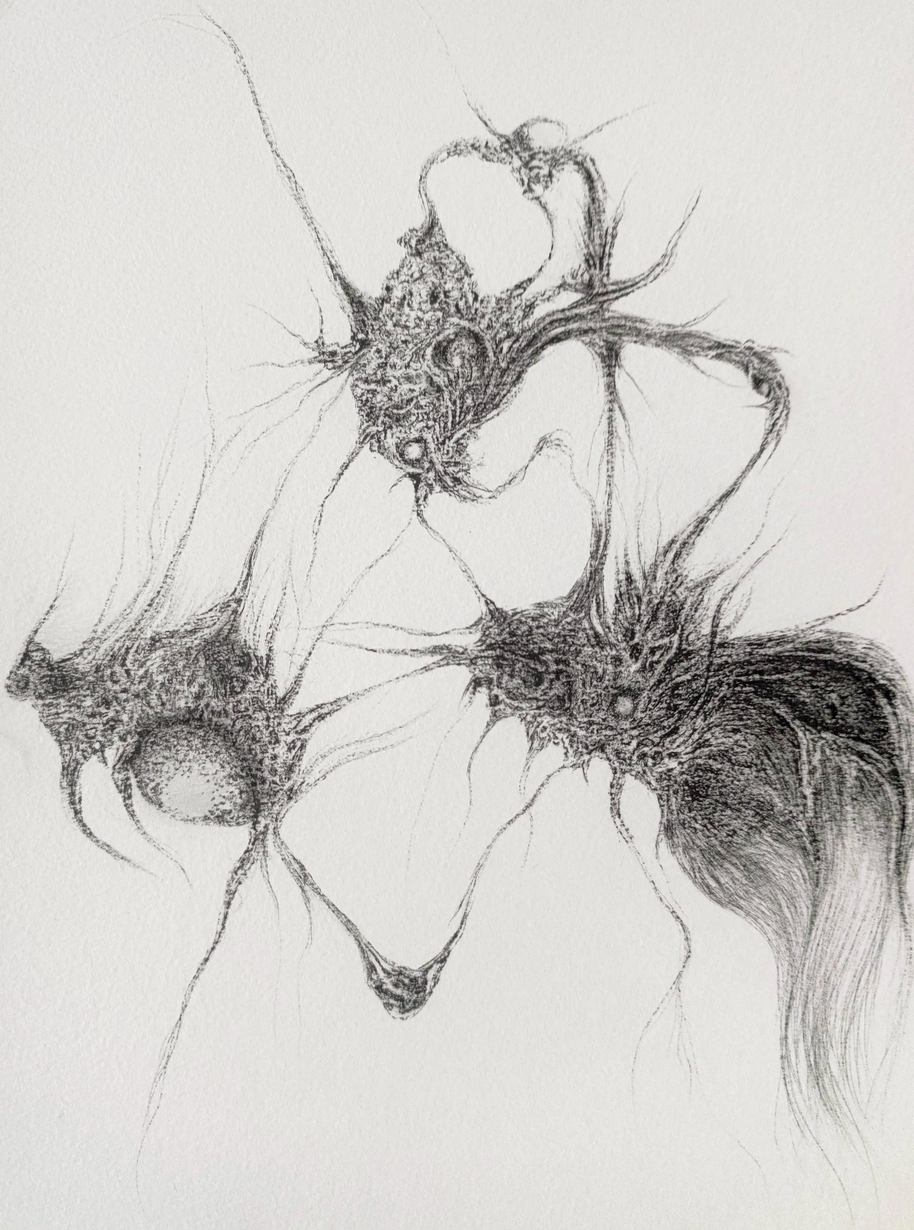 Untitled — ink drawing, 2026