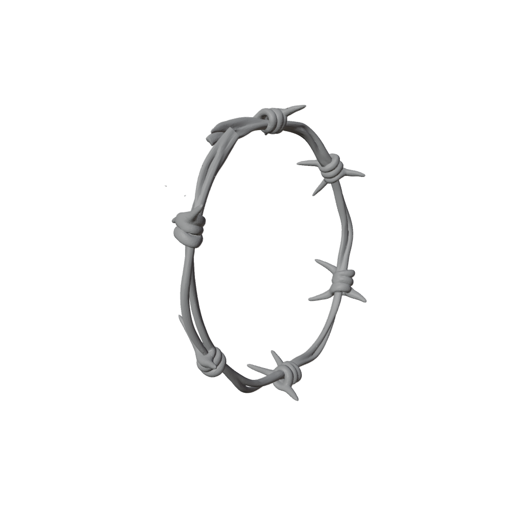 The Barbed Wire
