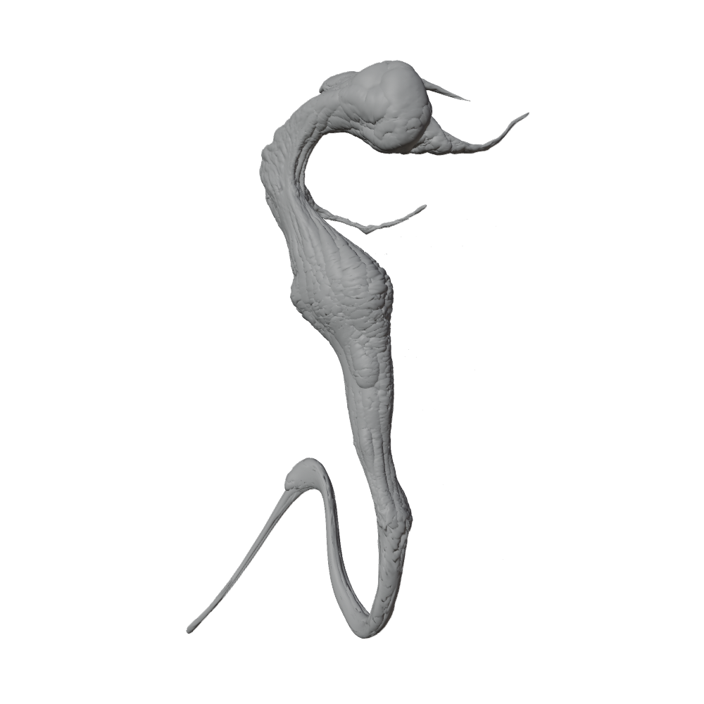 The Creature