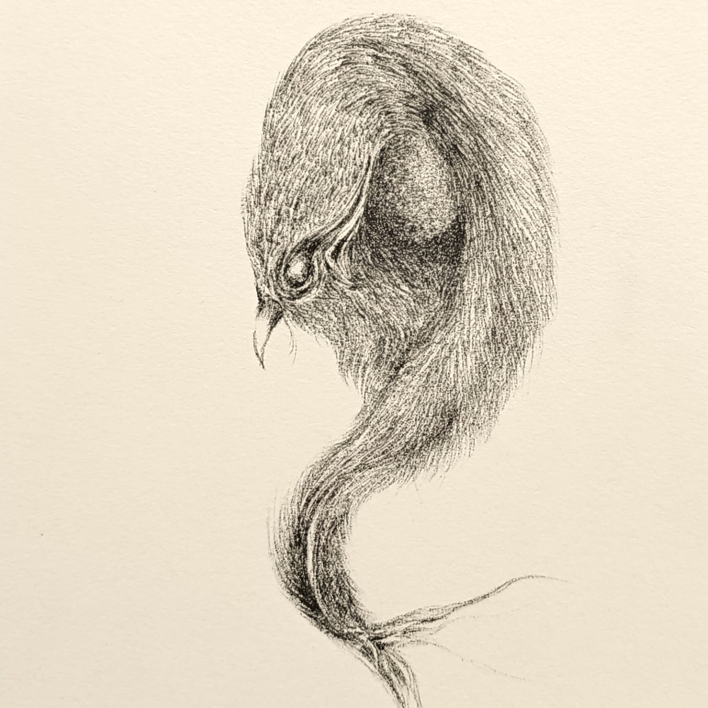 Drawings and Studies — Elhem Younes