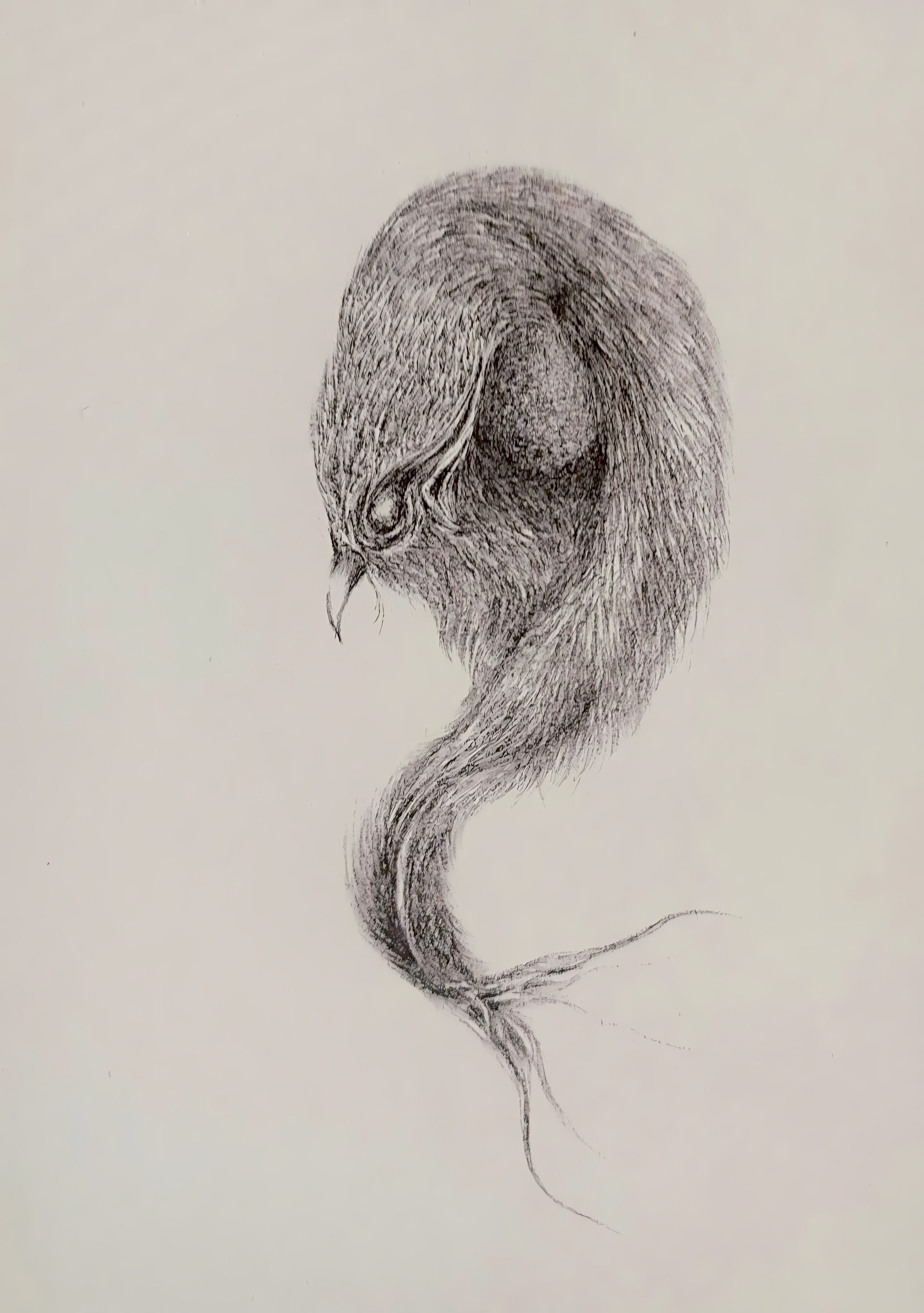 Untitled — ink drawing, 2026