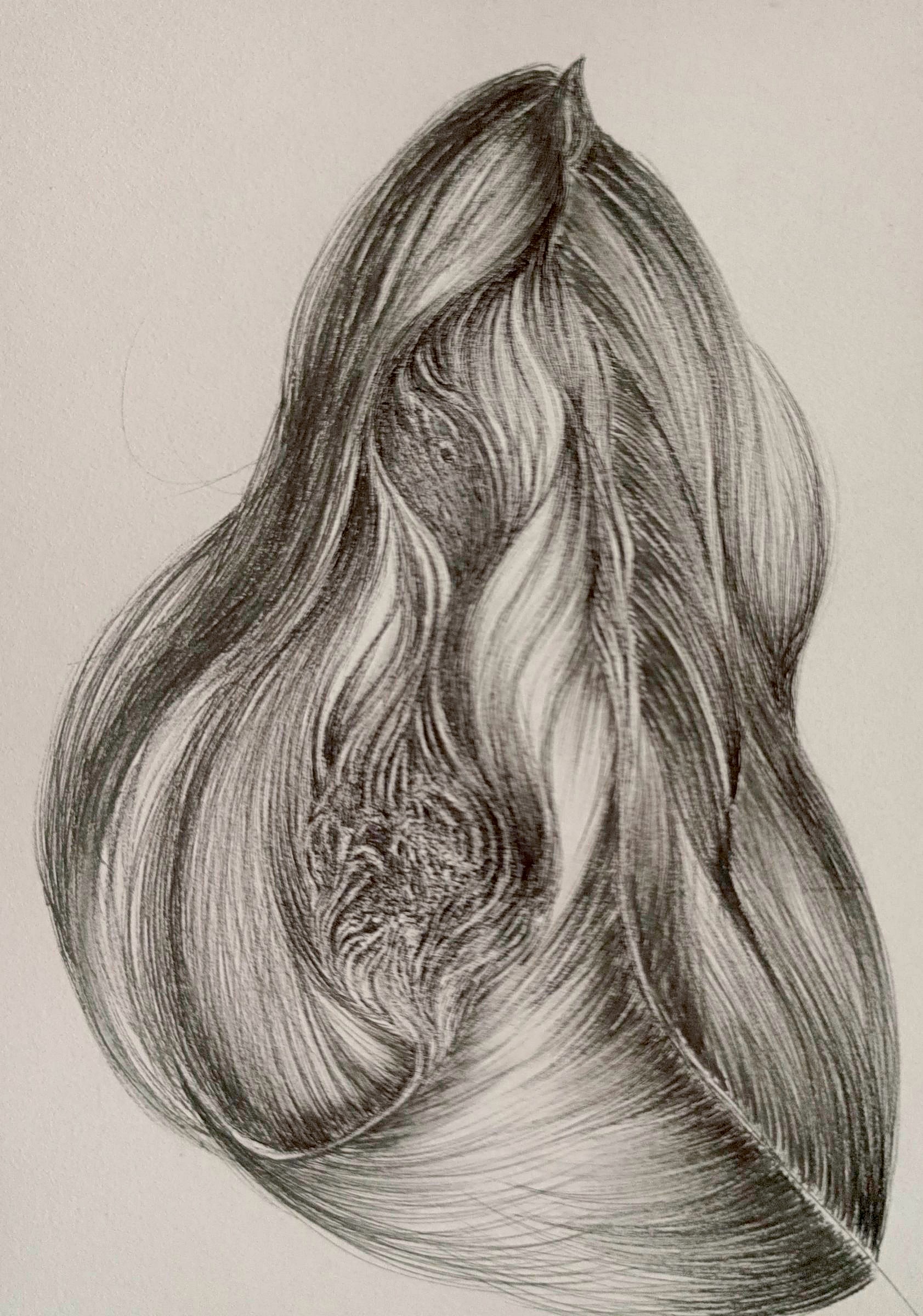 Untitled — drawing 2, 2026
