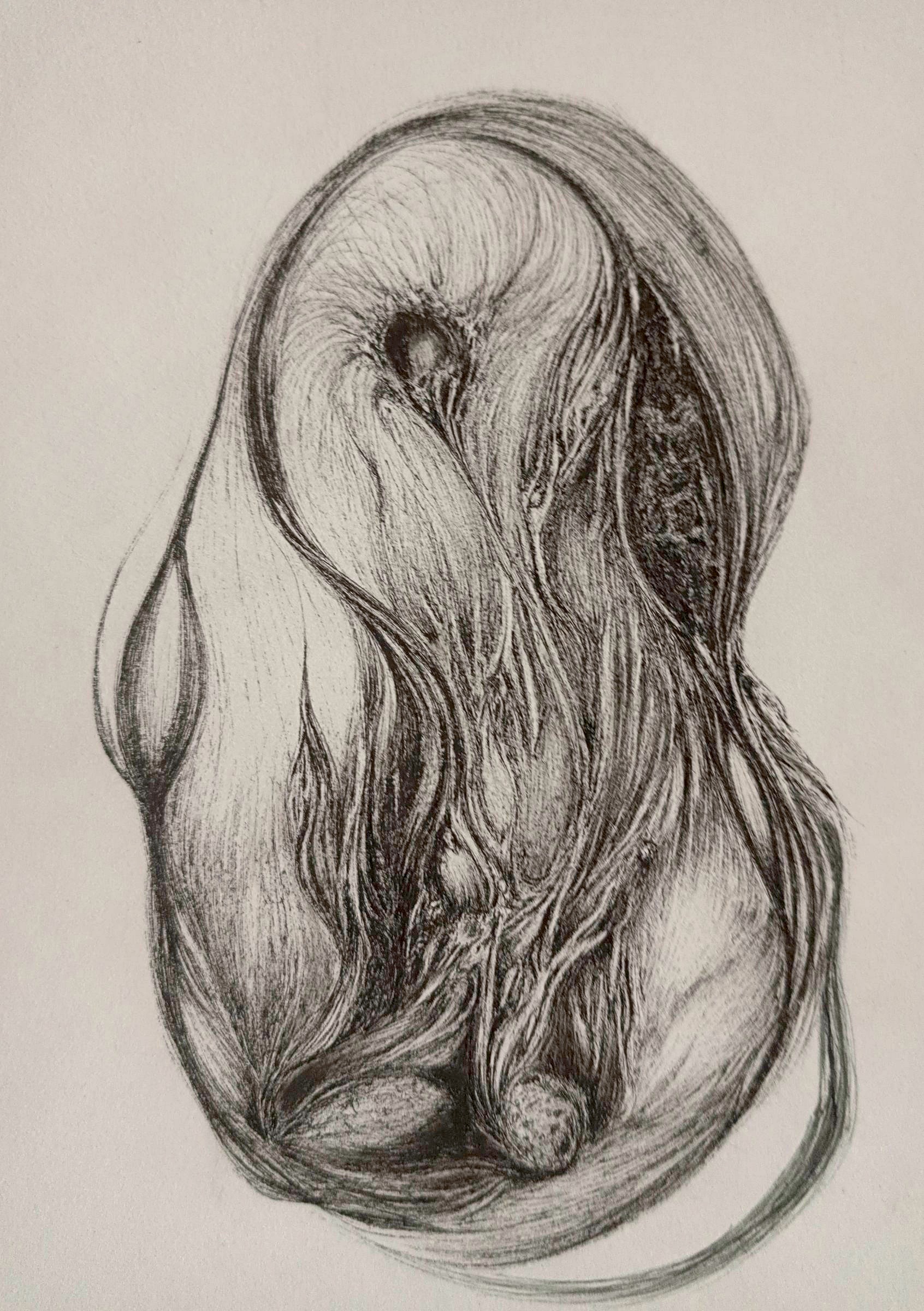 Untitled — drawing 3, 2026