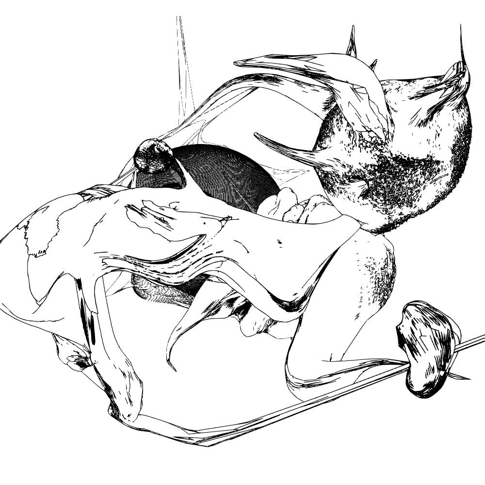 Form Across States — Elhem Younes
