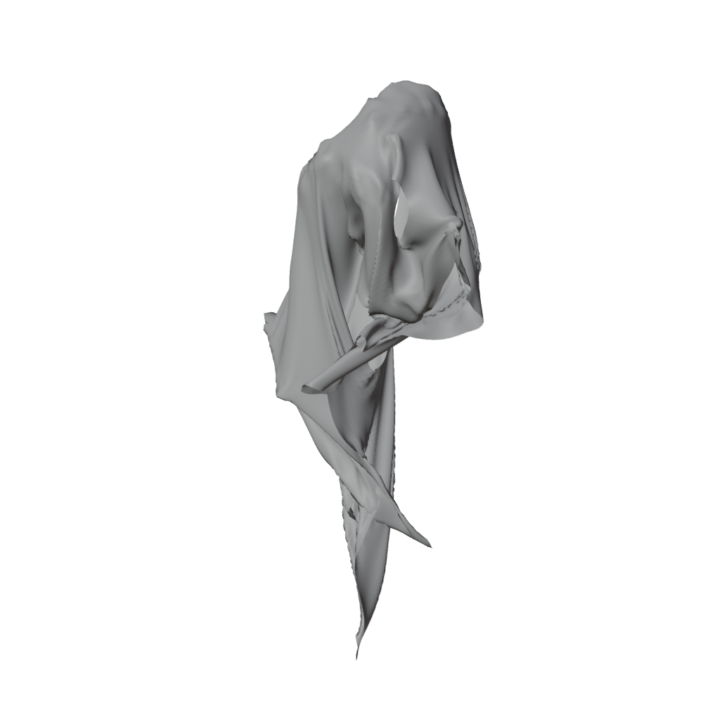 The Falling Drape