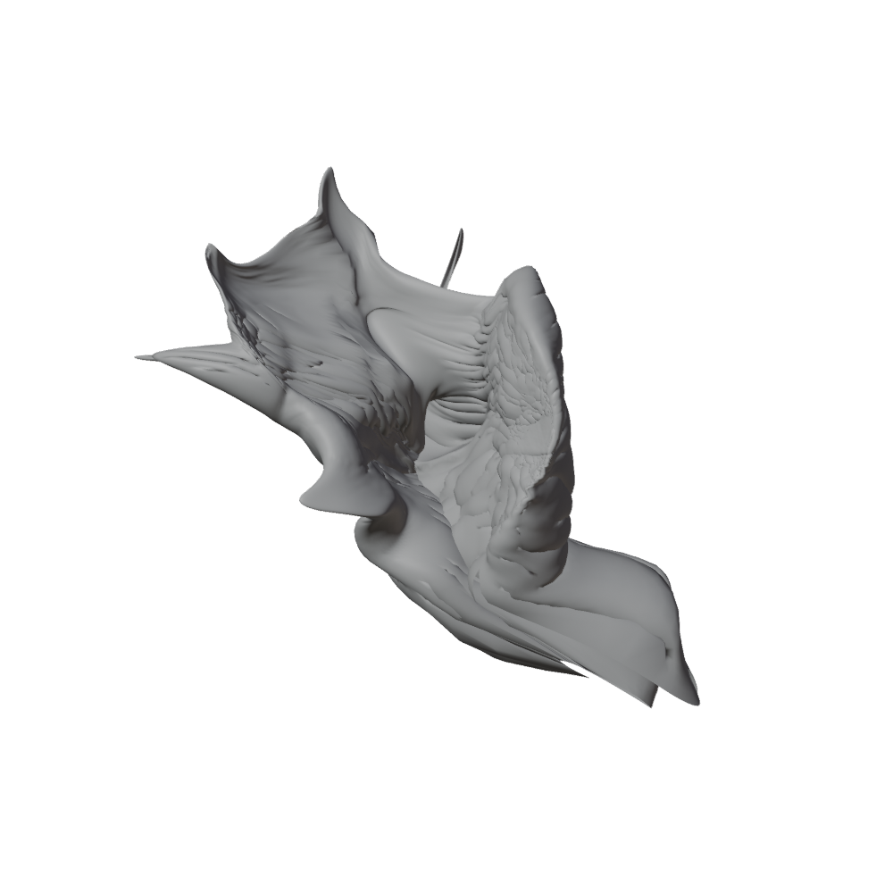The Shell